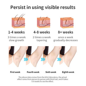 2025 yeni varış özel safir çift lamba mor buz soğutma kadınlar iç<span class=keywords><strong>in</strong></span> Ipl lazer epilasyon makinesi Ipl epilatör ev kullanımı - Product Image 5