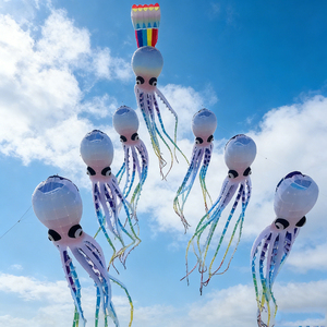 Globo de Pez Payaso Grande, Hecho a Medida, de Cuerpo Blando, Hecho en China, Perfecto para Tamaños Grandes y Extra Grandes. - Product Image 5