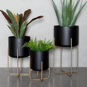Estante Organizador de Plantas para Decoración del Hogar <span class=keywords><strong>2022</strong></span>, Soporte de Metal para Macetas, Soporte para Plantas Dorado - Product Image 1