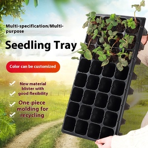 Plateau de pépinière en plastique en gros avec conception de <span class=keywords><strong>pied</strong></span> haut 21/24/32/50/72 trous en PET <span class=keywords><strong>pour</strong></span> le soin des fraises - Product Image 1