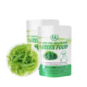 ブドウ塩海藻食品100% ワイルドクラフト海ブドウベトナム製カートンボックスで高品質の包装メーカー