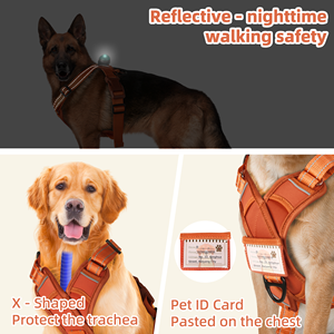 <span class=keywords><strong>Harness</strong></span> Anjing Model Baru 2025, Empuk dan Personal, Bentuk X, dengan Label Nama, Dapat Dipasang dengan Perekat Hook and Loop - Product Image 4