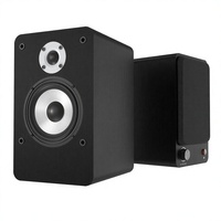 Système Mini Haut-parleurs d'étagère Hi-Fi Professionnels 2.0 Canaux Amplifiés avec DSP 3D et Boîtier en Bois pour Studio (OEM/ODM)