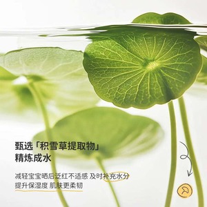 Crema Calmante de Centella para Niños Babogu 50g, Hidratante para el Cuidado de la Piel en Verano - Product Image 4