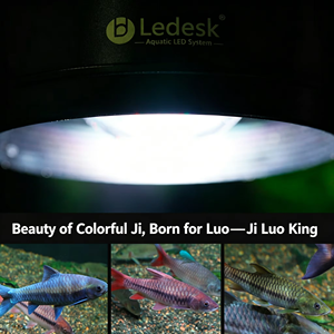 Lampe <span class=keywords><strong>LED</strong></span> pour <span class=keywords><strong>aquarium</strong></span> Ledesk RX Full Spectrum Mahseer Garra, pour <span class=keywords><strong>aquarium</strong></span> de rivière naturelle, favorisant la croissance des <span class=keywords><strong>algues</strong></span>, améliorant la couleur, avec contrôle par minuterie - Product Image 3