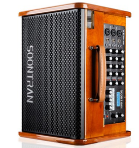 Haut-parleur portable rechargeable de 8 pouces avec DSP, nouvelle conception haut de gamme - Product Image 6