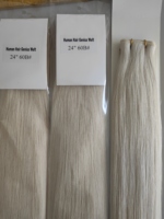Harga Grosir Rambut Manusia Eropa Mentah Warna Pirang Platinum 60B Super Tipis Genius Weft Rambut Rusia Ekstensi Anyaman Tak Terlihat