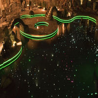 Piscine à fibre optique lumière souterraine étoiles étoilées décoration d'éclairage à fibre optique séparation photoélectrique
