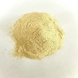 Augmenter les rendements du bétail en toute sécurité Alternative durable aux protéines plasmatiques animales RONG TAI M Hydrolysat de levure - Product Image 6