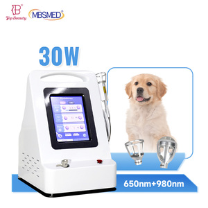 High Power Class 4 <strong>Physio</strong> Laser Therapy <strong>Equipment</strong> Cold Veterinary Laser Therapy Device for Pain Relief - Product Image 1