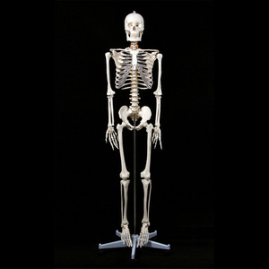 180cm - Product Image 1