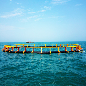 Jaula Flotante para Peces de HDPE Anti-Tifón |   Jaula de Acuicultura de Alta Resistencia para Aguas Profundas - Product Image 4