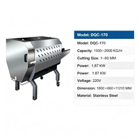 Industriële groentesnijmachine DQC-170 SUS304 Automatische kool- en selderijsnijder voor voedselverwerkingslijn