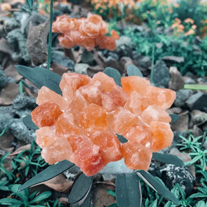 Cristaux de sel de l'Himalaya orange, grandes roches naturelles, pierres de guérison écologiques pour la décoration, le tumbling, la Wicca et le Reiki - Product Image 2