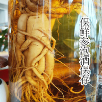 Scellé 170 g/sac de racines de ginseng coréen frais épices et herbes à vendre