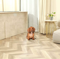 Enclos pour animaux de compagnie en acrylique entièrement transparent, panneaux de clôture, enclos pour bébés, panneaux de protection avec service de découpe