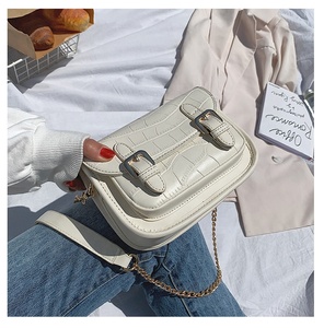 <span class=keywords><strong>France</strong></span> style small female chain <span class=keywords><strong>crocodile</strong></span> pattern women crossbody bags handbags shoulder bags - Product Image 4