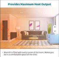 Radiateur mural horizontal en acier, type colonne ovale, pour appartement, à économie d'énergie, OEM, pour chauffage à l'eau, idéal pour salle de sport et parc.