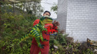 Marionnette Raptor réaliste à rayures vertes et jaunes
