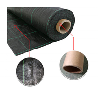 Couvre-sol agricole en géotextile tissé PP stabilisé aux UV Tapis anti-herbe pour le contrôle des mauvaises herbes Plantes en rouleau de tissu noir