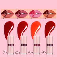Gloss à lèvres liquide 4 couleurs, fini brillant et mat, couleur de base longue tenue, format voyage, tube de gloss à lèvres, rouge à lèvres