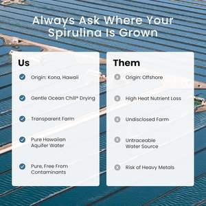 Langsung dari Pabrik untuk Pembeli Tablet Spirulina 500mg Organik dengan Manfaat Alami Grosir Tablet Spirulina - Product Image 5