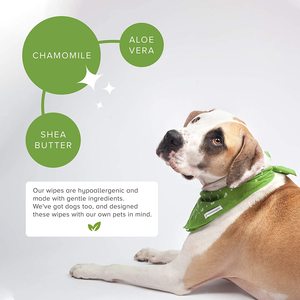 Lingettes humides pour le toilettage des animaux de compagnie pour nettoyer les pattes, les oreilles, les yeux et les dents des chiens et des chats - Product Image 3
