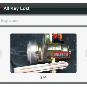 Cho Xhorse Cá Heo XP-005L Xp005l Xp005 XP-005 (Cá Heo II) <span class=keywords><strong>Key</strong></span> Máy Cắt Với Xhorse Xdkr00gl <span class=keywords><strong>Key</strong></span> Reader - Product Image 3