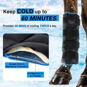 Botas de hielo para patas de caballo, ideales para entrenamiento ecuestre y terapia, con correas flexibles y compresa fría. - Product Image 4