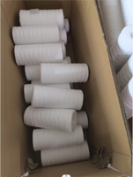 20/30 pouces 5 microns polypropylène chaîne enroulée Pp fil cartouche filtrante Pp coton élément filtrant fil enroulé filtres pour Machine
