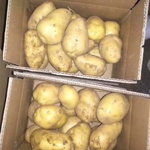 Pommes <span class=keywords><strong>de</strong></span> <span class=keywords><strong>terre</strong></span> fraîches <span class=keywords><strong>de</strong></span> qualité d'exportation en provenance <span class=keywords><strong>de</strong></span> Chine, grade A, <span class=keywords><strong>25</strong></span> <span class=keywords><strong>kg</strong></span>/SAC, culture COMMUNE, <span class=keywords><strong>prix</strong></span> avantageux, provenance chinoise - Product Image 5
