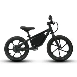BTN OEM EKIDS16 Kids Balance E Scooter Vélo tout-terrain électrique pour enfants, Dirt Bike électrique pour enfants, vélo électrique pour enfant