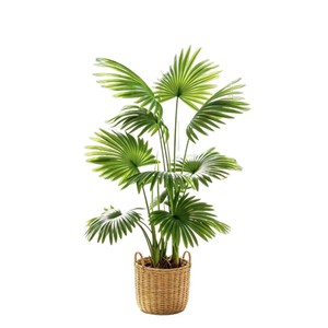 <b>Artificial</b> Areca Palm Plant Nordic Style Indoor Outdoor Decorative Potted Greenery Realistic Design Eco Friendly Material - Product Image 5