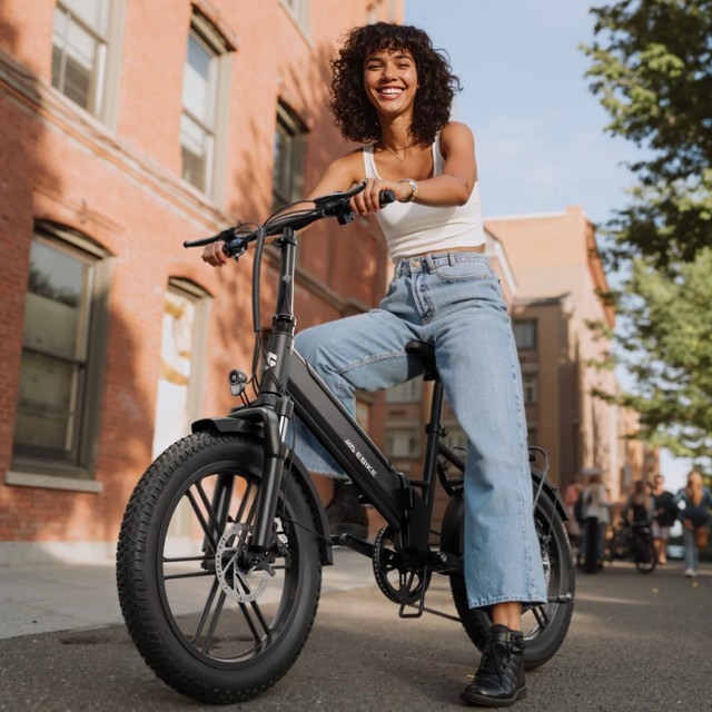 F00B 20''*4.0 630W Electric Bike Power Supply 36v Foldable Fat Tire Bike Rear Hub Brushless Disc Lithium Battery Step-Thru Model