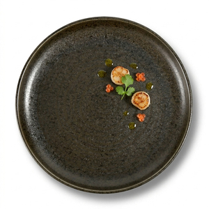 Platos de porcelana reactivos <span class=keywords><strong>para</strong></span> Catering, platos de cena de cerámica redondos de alta calidad <span class=keywords><strong>para</strong></span> restaurante y Hotel, color negro - Product Image 2
