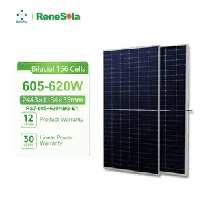 Renesola zweiseitiger Solarmodul 605 W 610 W 615 W Renesola N-Typ Doppelglas-Solarpanel 620 W für Solarenergiesystem