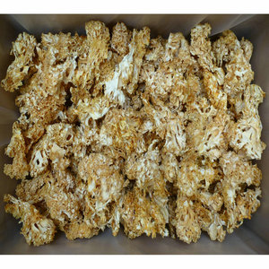 Venta al por mayor de hongos Sparassis Crispa secos y crudos de la marca Henan Chengyitang - Product Image 5