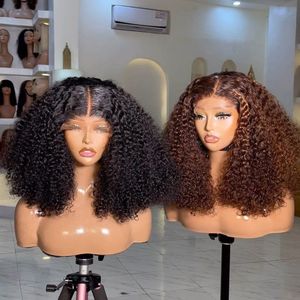 <span class=keywords><strong>Parrucca</strong></span> capelli umani cipria riccia riccia a 250% densità per capelli umani <span class=keywords><strong>parrucca</strong></span> frontale Hd per donne nere Pre-strappata capelli umani <span class=keywords><strong>parrucca</strong></span> riccia - Product Image 1