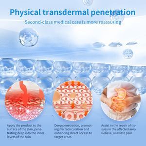 6 piezas de parches digestivos de yeso chino de infrarrojo lejano para la motilidad gastrointestinal, productos de cuidado de la <span class=keywords><strong>salud</strong></span> de gran demanda - Product Image 2