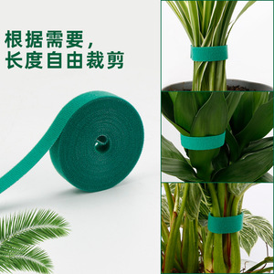 Correas de Velcro para Plantas de Jardín Kyushu de 10 mm y 15 mm, 5 m Cada Una, Duraderas para Jardinería Doméstica - Product Image 2