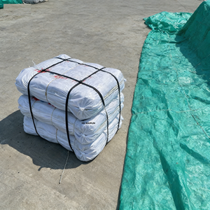 Saco de Polipropileno para Arroz de 5 kg, 10 kg, 20 kg, 25 kg, 50 kg, 100 kg, Saco Tejido de PP Laminado - Product Image 5