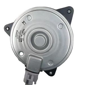 Buy In Bulk Fiat Radiator Fan Motor Durable Design & OEM Standard