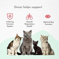 Friandises à mâcher anti-puces et tiques pour chatons et chats adultes OEM/ODM - Approuvées par les vétérinaires, soutien immunitaire sûr, huile de coco et calcium, 2,5 kg, friandises molles