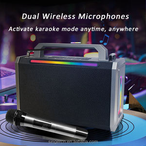 M302 Lớn Loa 40W Loa Karaoke Với Hai Microphone Kép Micro Không Dây Với RGB LED Karaoke Cho Nhà Hát Gia Đình - Product Image 3
