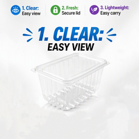 Op maat gemaakte, veilige, recyclebare, transparante PET-plastic dozen voor koekjes, fruit, salade en groenten, met deksels.