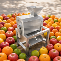 Hoge productiviteit 380V motor fruitpulper & extractor voor sinaasappel, perzik, gember - gebruik in kleine fruitverwerkingsinstallaties