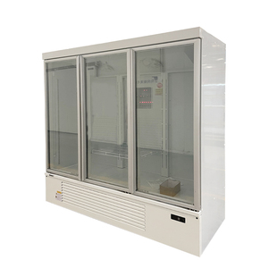 Congelador vertical con puerta de vidrio para tienda de conveniencia, vitrina refrigeradora con modo de enfriamiento por aire - Product Image 2