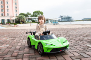 液压剪刀门12v 4. ah电动汽车差速器<span class=keywords><strong>3</strong></span>速调节<span class=keywords><strong>3</strong></span>颜色可选择带CE证书 - Product Image 4