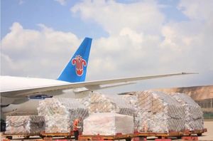 Servicio chárter aéreo de Zimbabue | Carga/maquinaria a granel a través de Air + Express a Sudáfrica (seguro de 7-9 días incluido) - Product Image 4