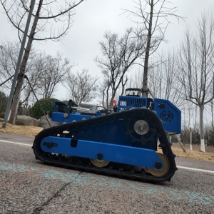 Tondeuse à gazon RC Crawler avec démarrage et arrêt à distance, moteur 4 temps de qualité industrielle 9HP, largeur de coupe 550mm, tondeuse à essence - Product Image 2